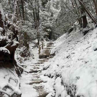 おお〜素敵〜‼️