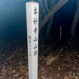 本日のPeek「本妙寺山」⛰️
ヘッデン持って来てなかったので携帯のライトを照らしながら進みました。
熊がいないので安心です🐻