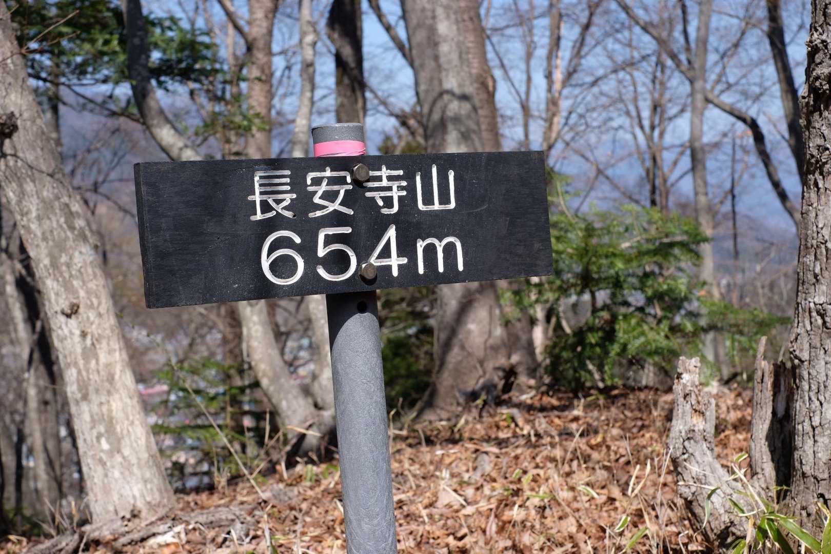 都留市駅-蟻山-水道橋ピーヤ-天神山-友愛の森　あずまや 縦走コースの写真