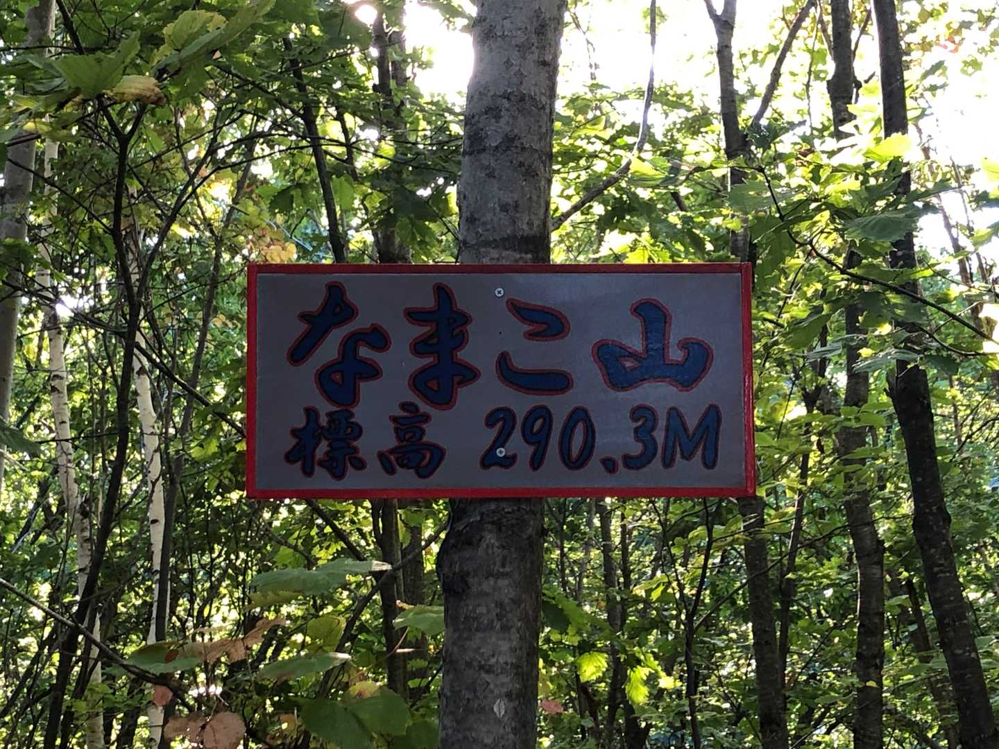 なまこ山 往復コースの写真
