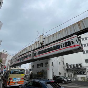 懸垂型