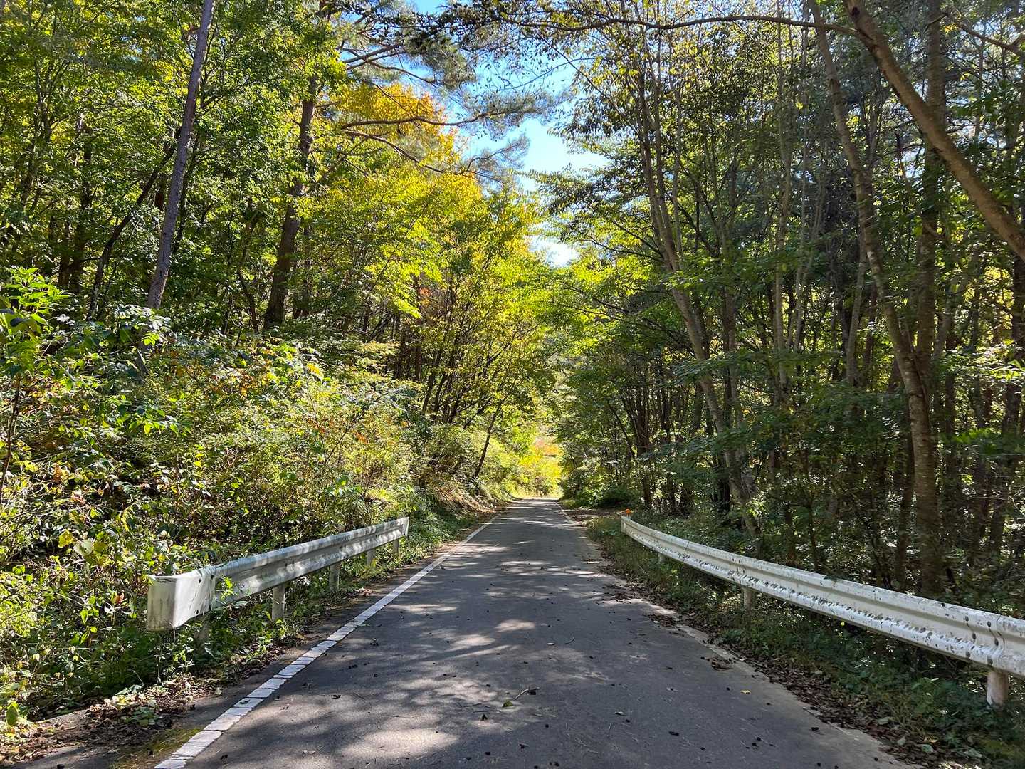 今度も道路を横切ります。