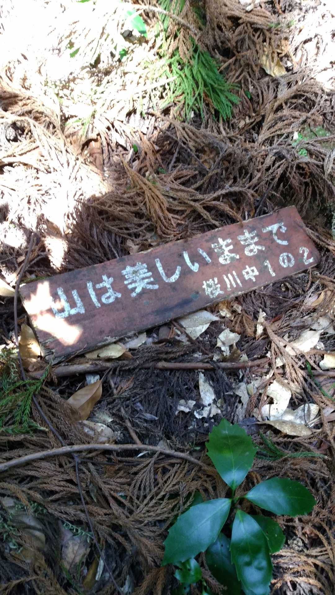 その通りですね😊