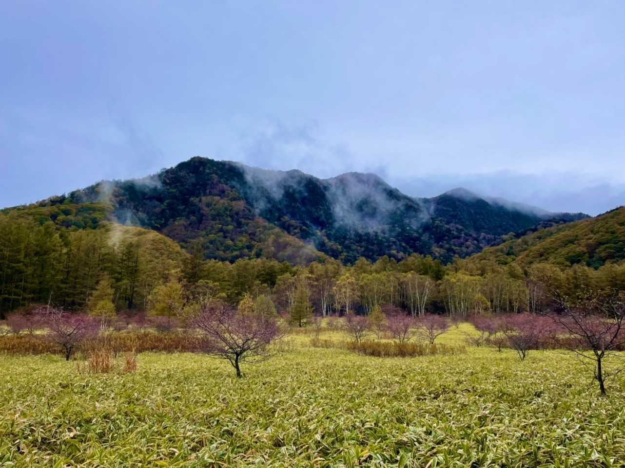 高山 周回コースの写真