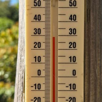 １９℃