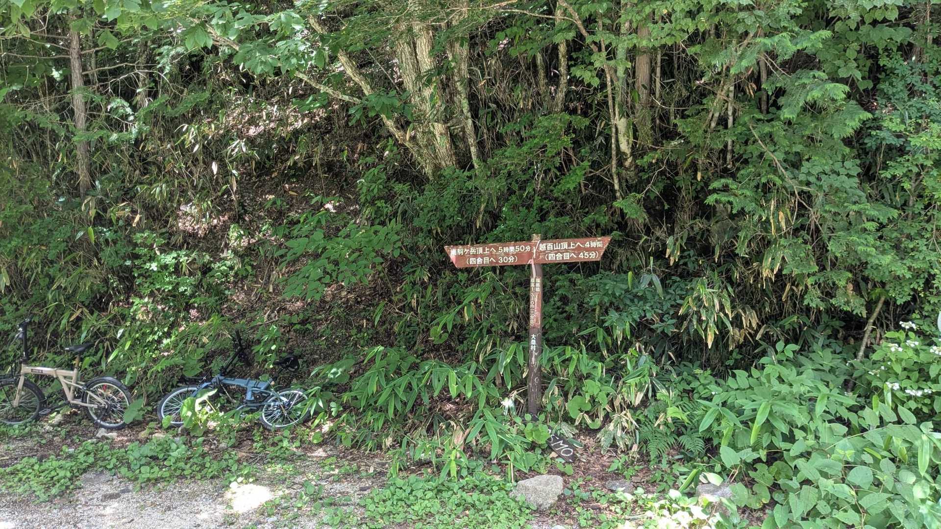 分岐に帰って来た