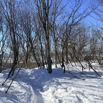 このトレースされてた道はチェンスパで十分ですね