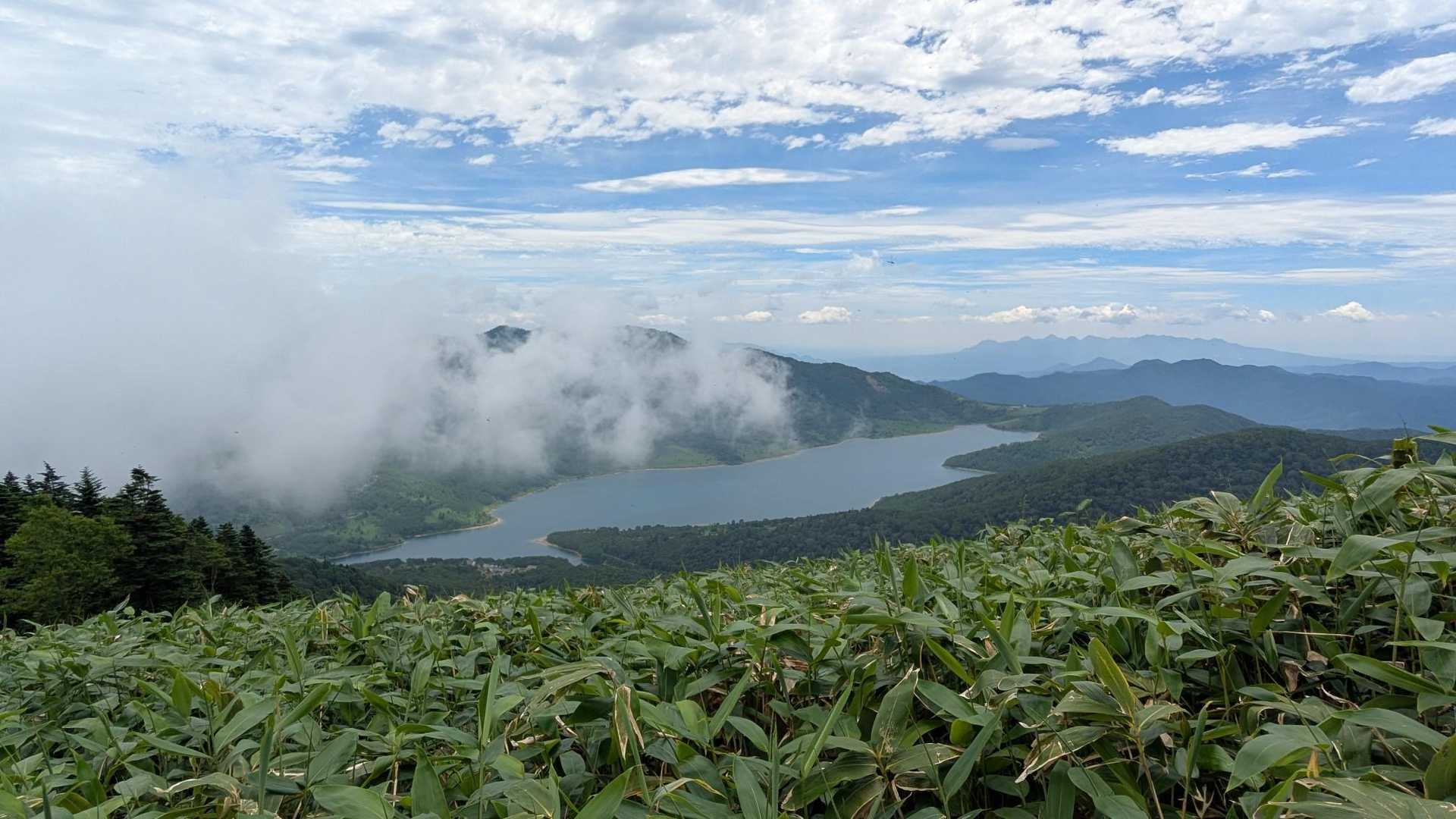 向かって左手から雲がモクモク来てます