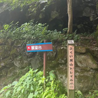 何が出るかわからないのでそちらは嫌