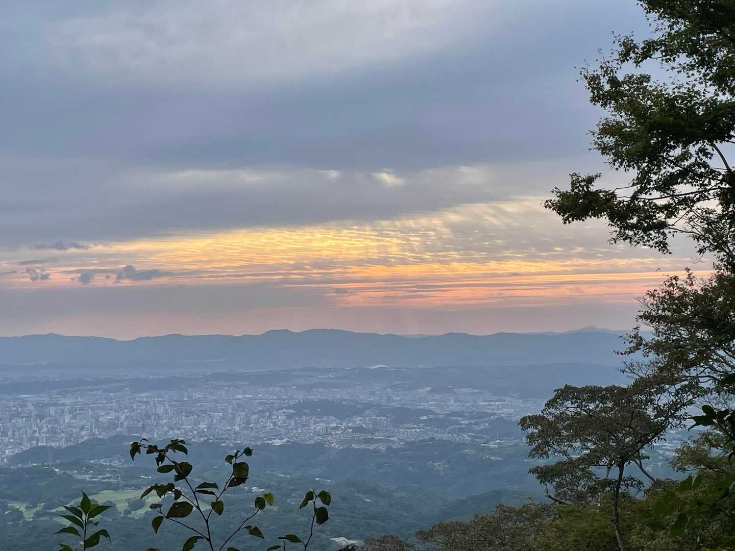 高崎山 往復コース | お猿と山城跡、別府湾を望む大分のホーム低山の写真