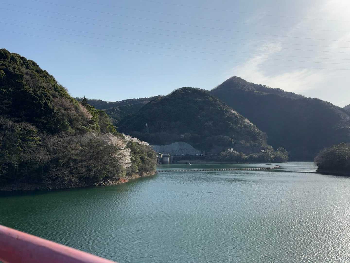 路肩に駐車した車が見えます🚗