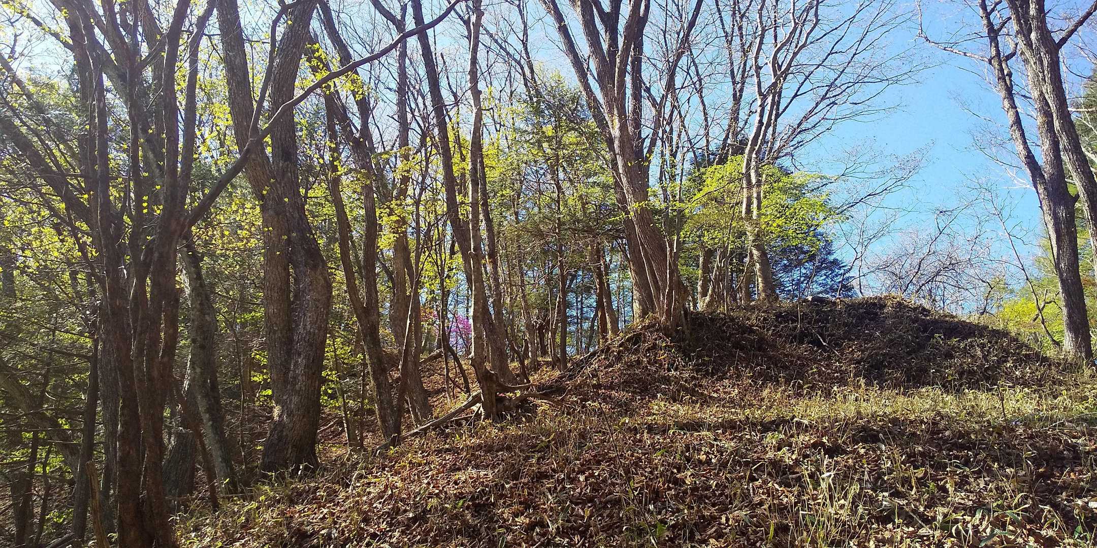 行ってきます、良い天気です。
