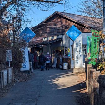 ケーブルカー使います♪