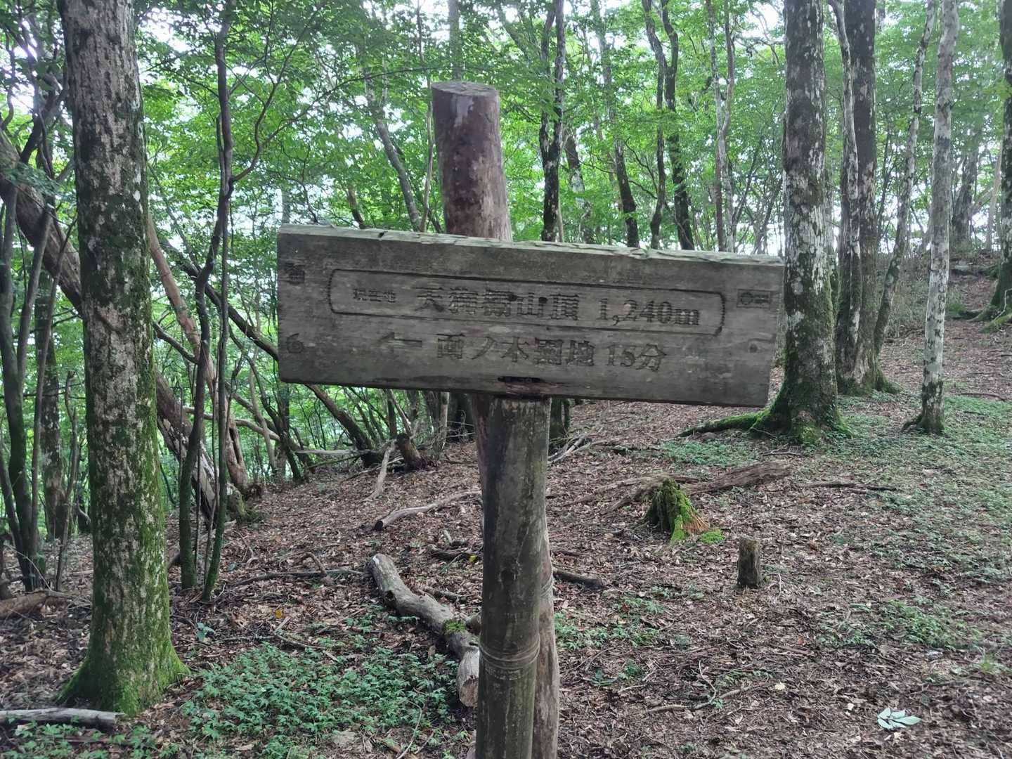 天狗棚-1200高地 往復コースの写真