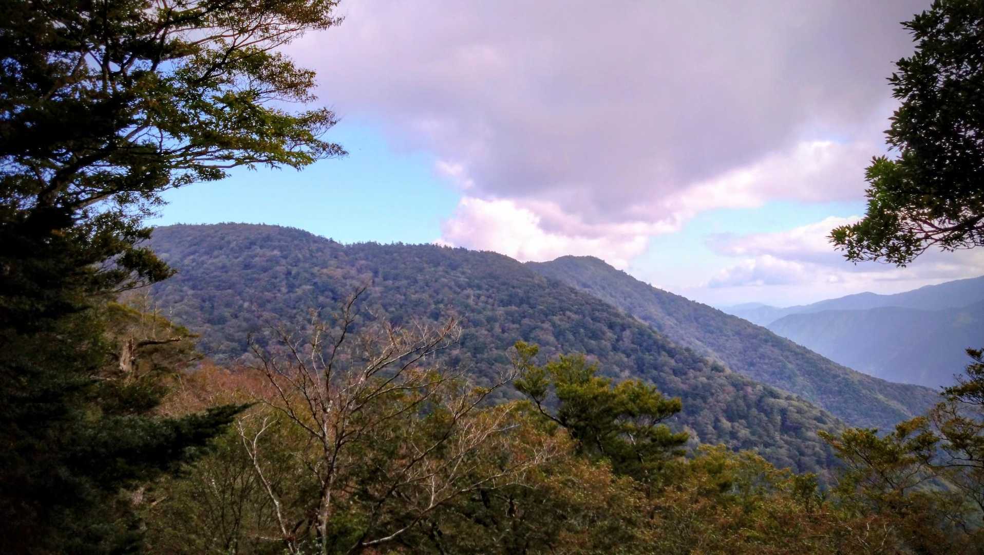 今日も よく 歩きました