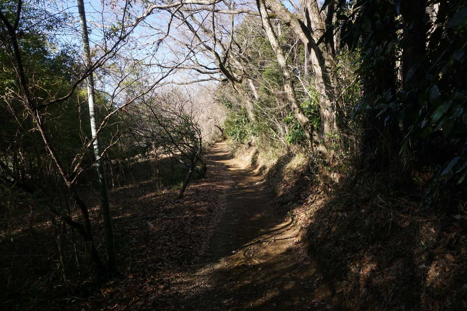 林道のような道を進むと…