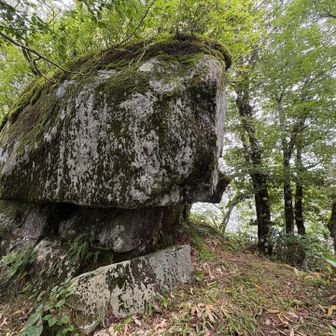 カメ石。
大きい。