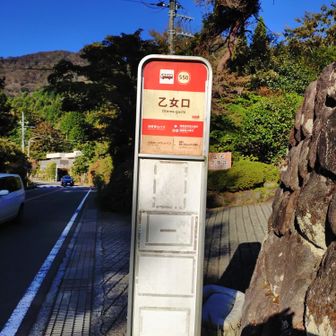 乙女口バス停
トイレもなんもない…
実は、仙石バス停から歩いて、公時神社口のトイレに寄ってから来た