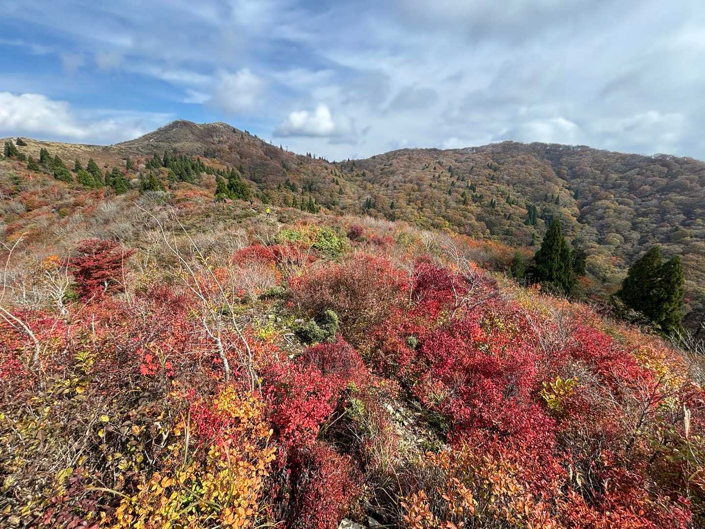西南稜コース | 比良最高峰・武奈ヶ岳。美しいブナの森から琵琶湖の絶景パノラマへの写真