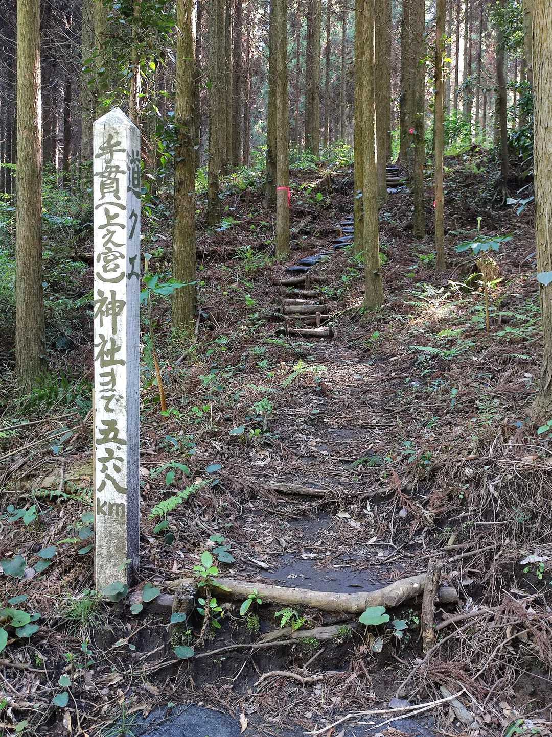 このkmは違うルートの距離みたい。
