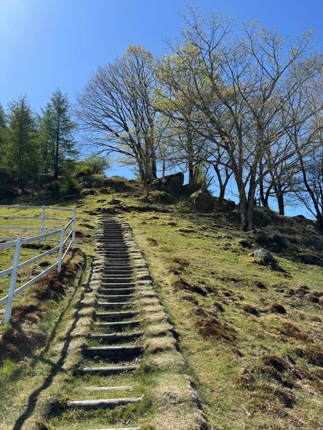 横根山-方塞山 周回コースの写真