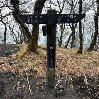ここからの下山道、チェンスパ欲しいくらいの残雪
転ばないように慎重に降りてきた