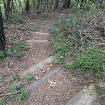 整備されてます
ひたすら階段続く〜