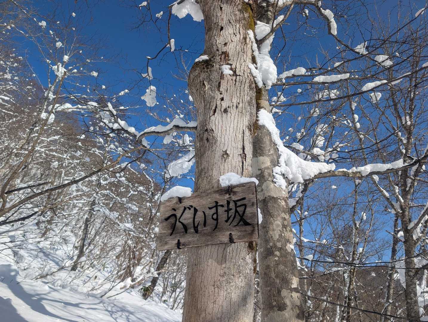 北泉ヶ岳 往復コースの写真