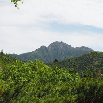 塩見でかい