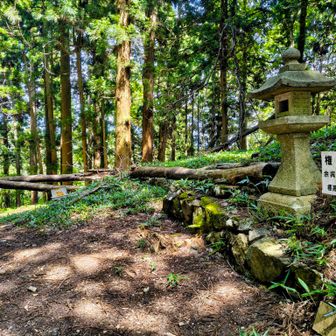 林道は通らず権現峠から神明山へ
