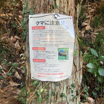 地元のおじちゃん曰く、熊はでないよーと聞いて安心していたのですが、注意喚起がされていたので再び熊鈴をならしながら歩きはじめます♪