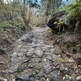 おつかれ様
足つかれたー。石畳って、疲れる。
昔の人、ほんまに、すごいわ👍

正月ゴロゴロした体には、なかなかキツかったー🤣