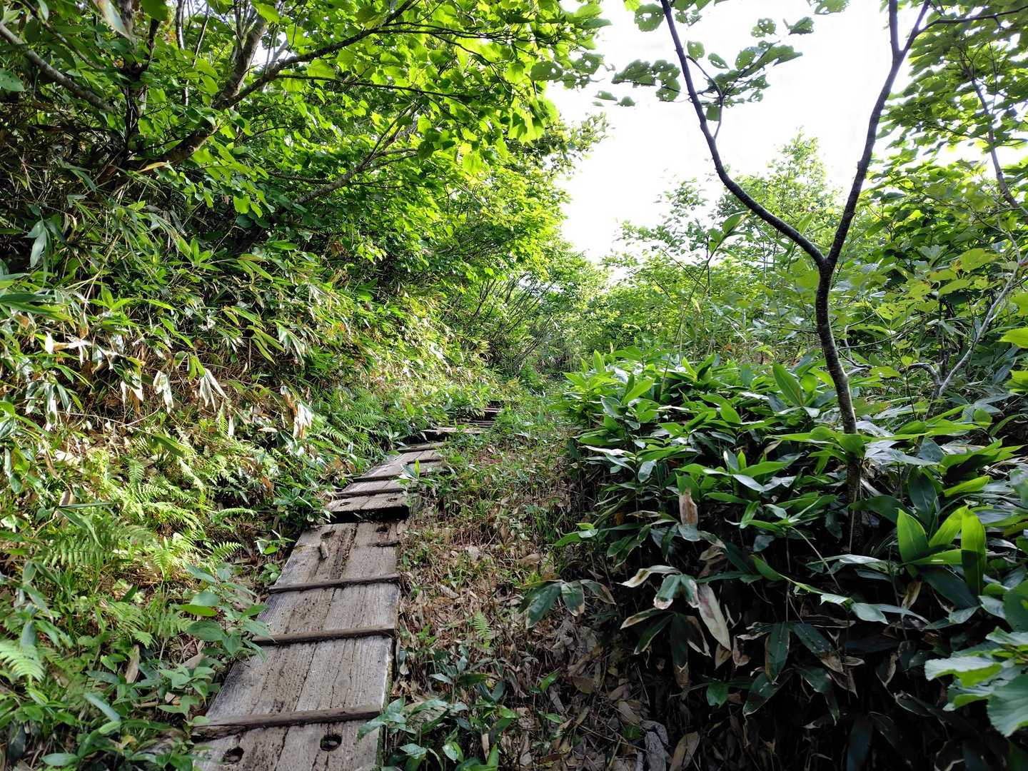 姥沢-牛首-月山 往復コースの写真