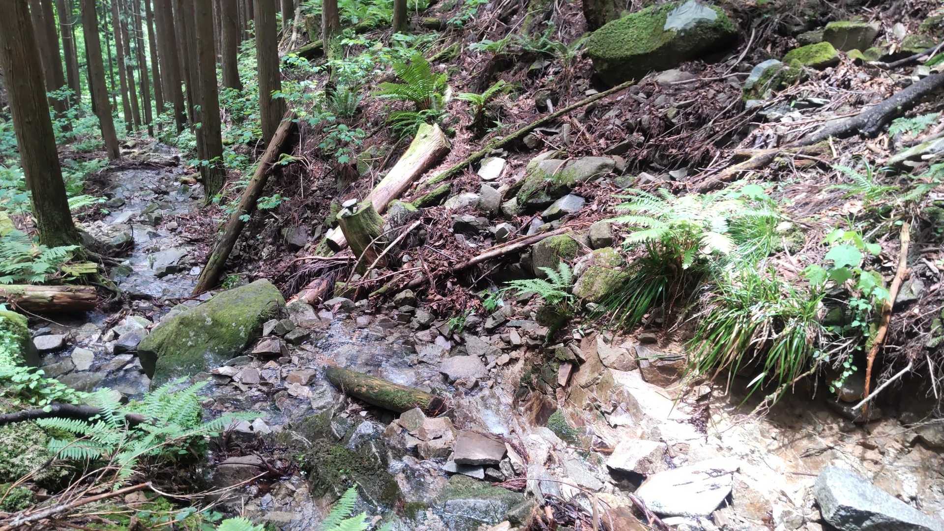 このまま行っていいんかい？と迷うぐらい 荒れてた 水も流れてるし
でも たどりついたから これで正解かな