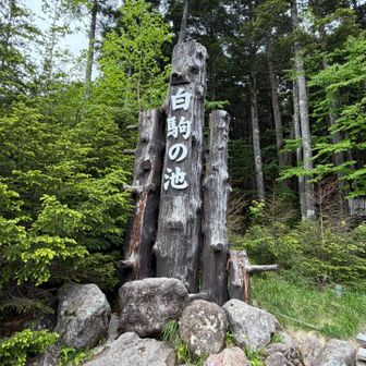 ポツポツしてきたので駐車場に戻ります