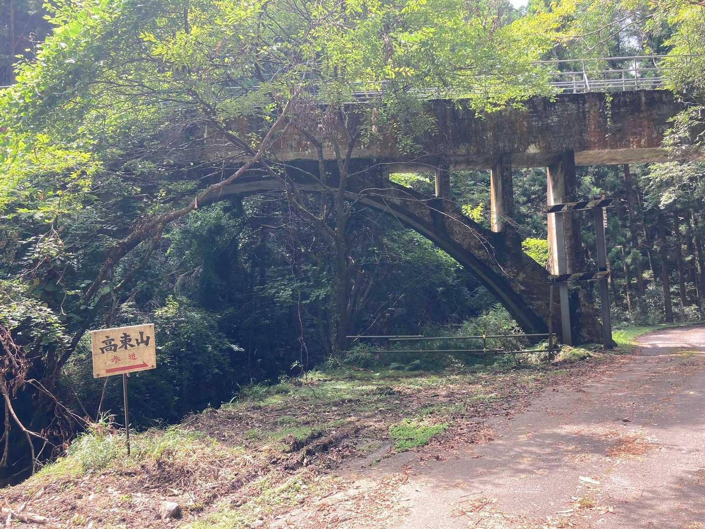 なんじゃこりゃ❓