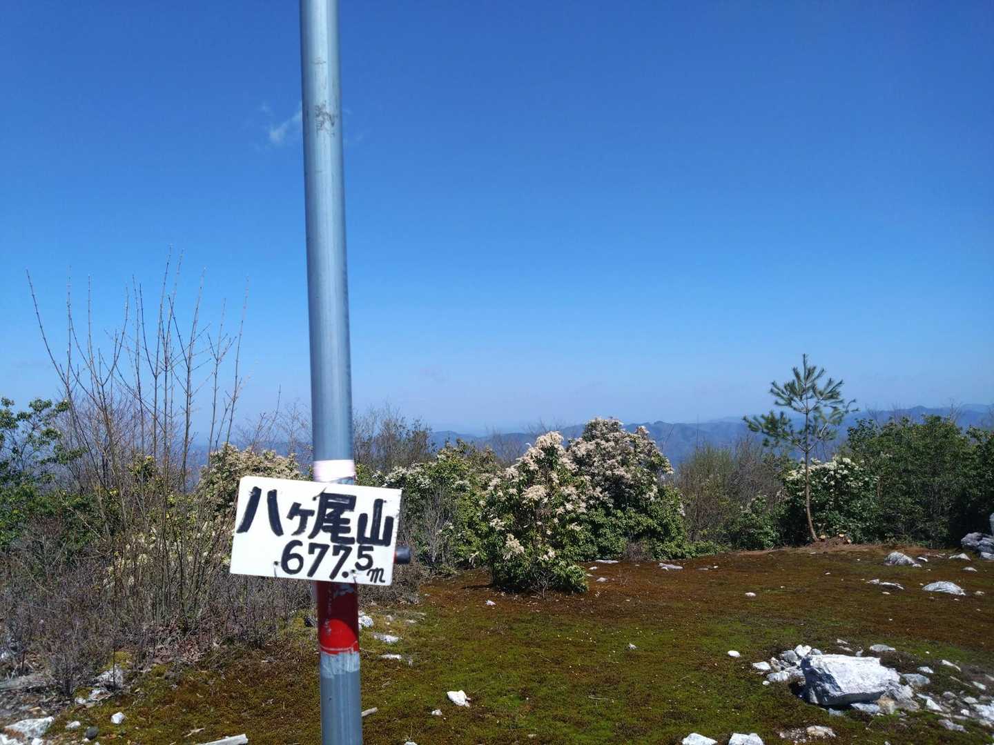 八ヶ尾山 周回コースの写真