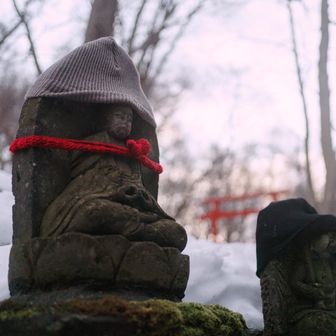 色数を増やすために苔がある台座(?)をフレームに入れている