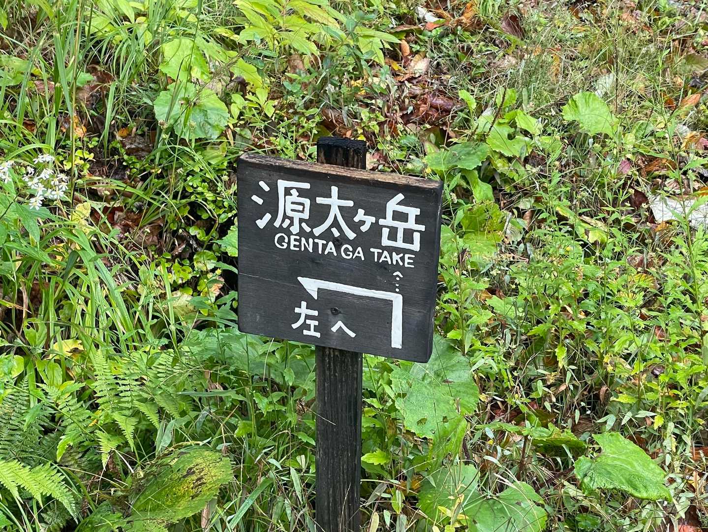 可愛い案内板😊
まずは源太ヶ岳を目指します⛰️
