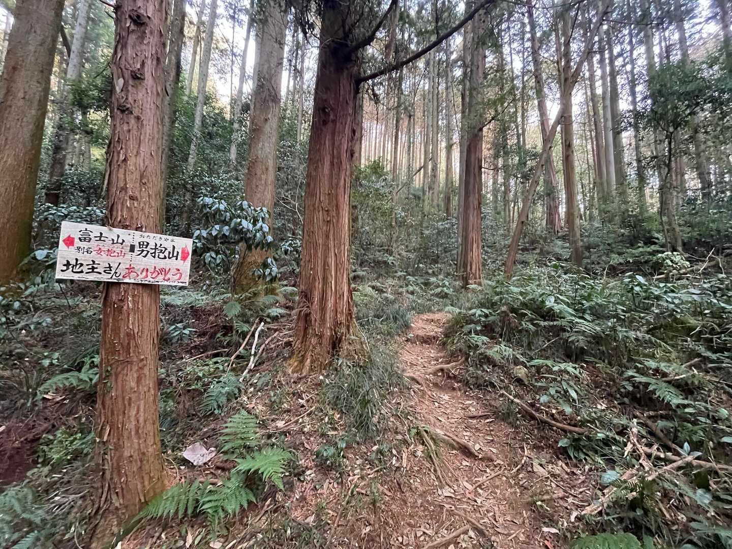 5分程で分岐に到着🤗

男抱山から登り、
女抱山から下山です☝️
