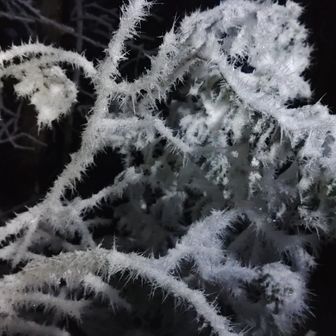 どんどん進みます。
めっちゃ凍てついてます
トゲトゲ樹氷‼️