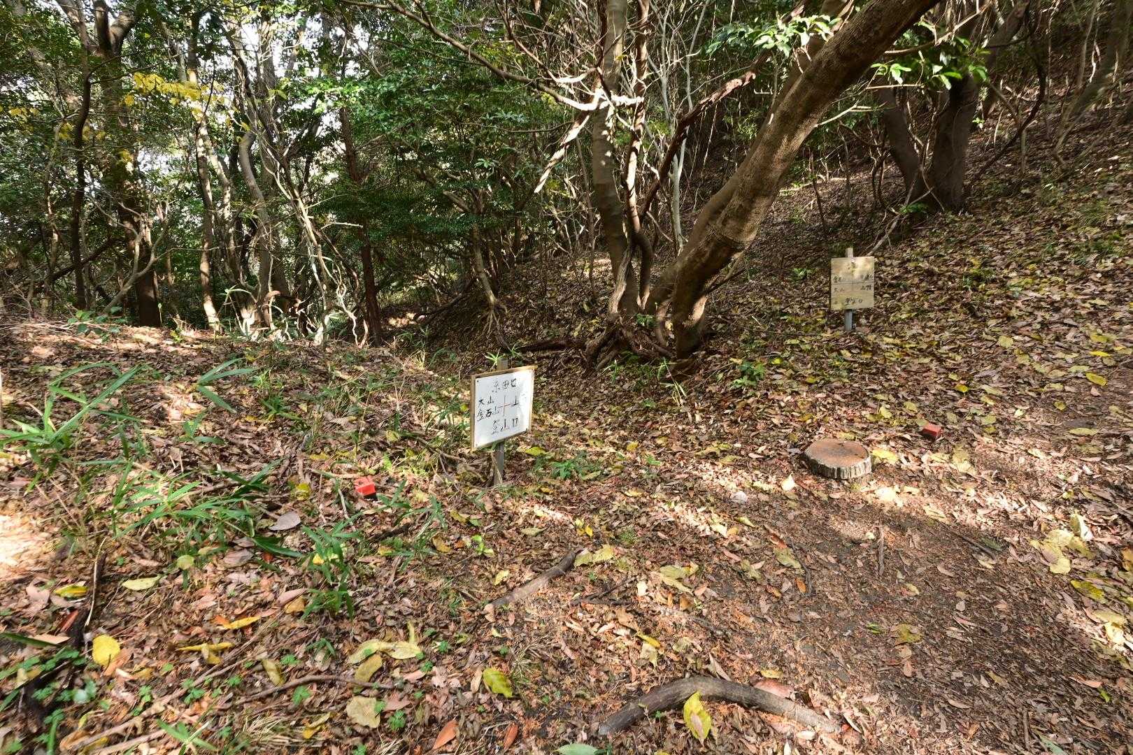 大山-関の山 往復コースの写真
