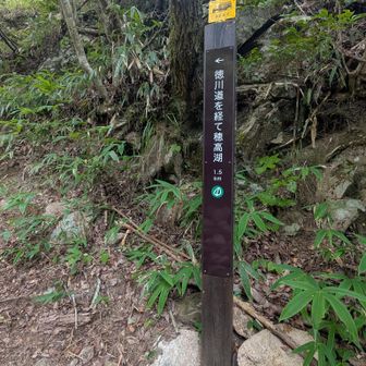 徳川道を経て穂高湖
もう〜少しだ✊