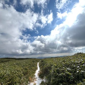 ここ！すごく美しい景色でした。
山頂付近