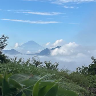 やったーー🙌ここで富士山が見えるとは‼️感動でした。しかも大きい！