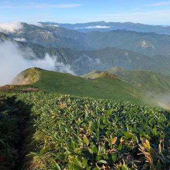 茂倉新道を下って行きます
途中避難小屋🛖が〜