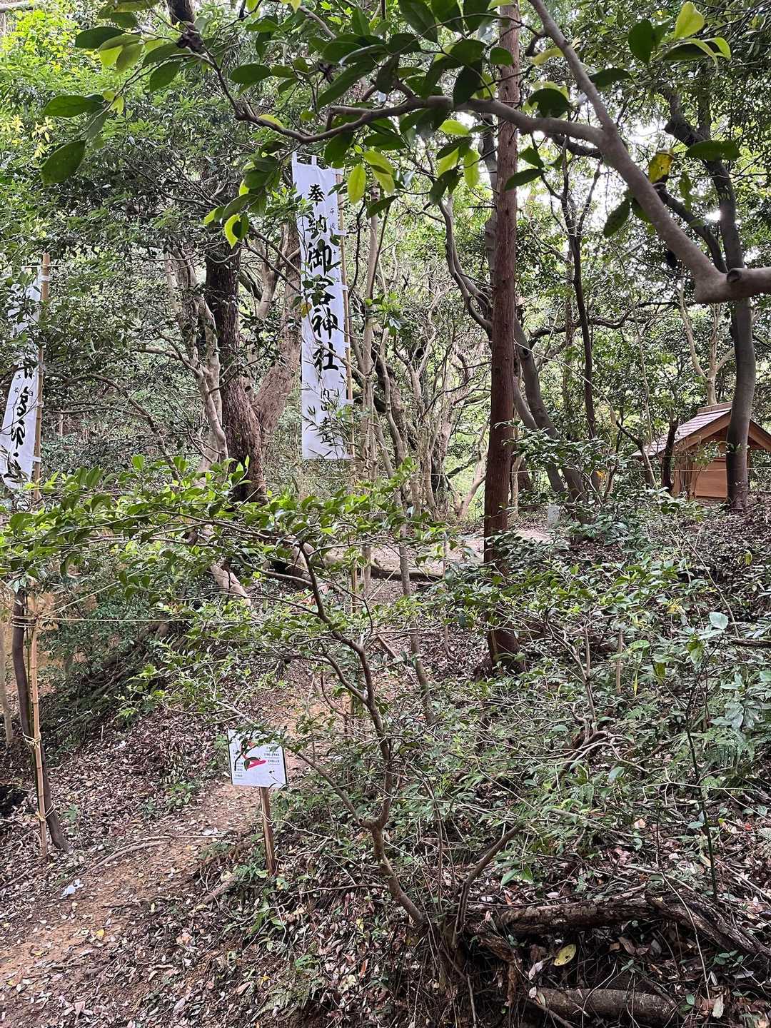 客社
ロープや旗があるし、何か入ってはいけない気がしたのでスルー💦
挨拶はしました🫡
