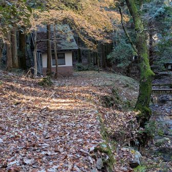 🚻までおりて来ました。