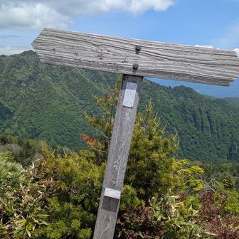 字が読めない西峰山頂の道標(標高１８７１m)