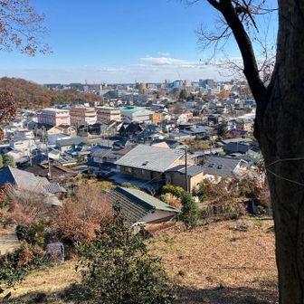 八幡山78m
全国に何座？